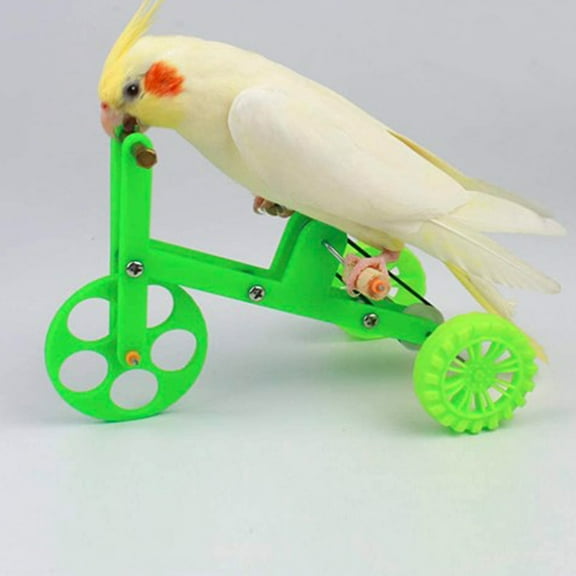Ludlz Parrot Training Toy Mini Bike Toy Intelligence Training Toy for Parakeet Cockatiel Conure Budgies Lovebird