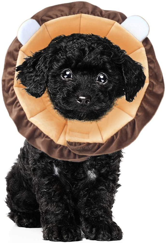 Lion mane dog cone cheap