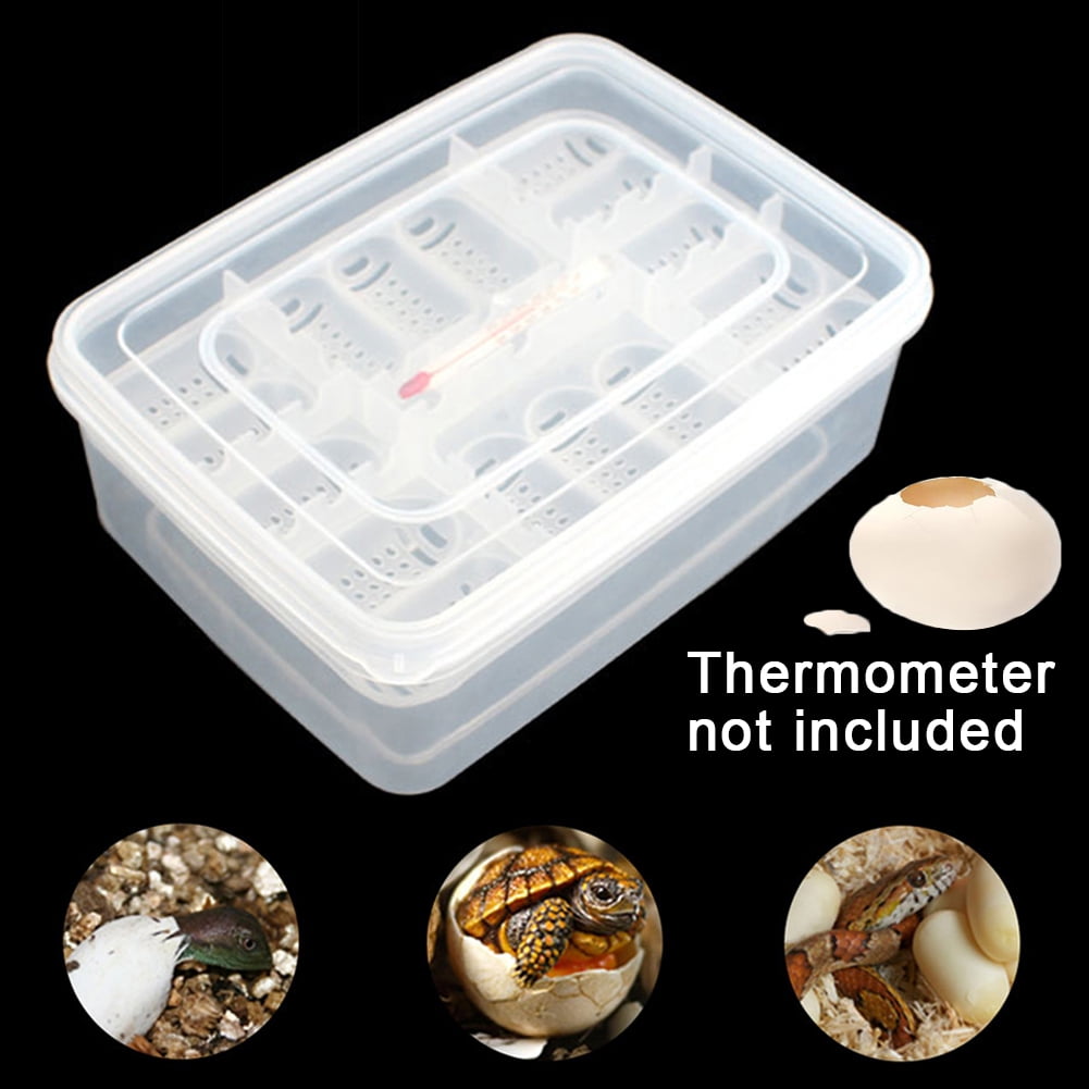 Ludlz Pet Reptile Lizard Snake Gecko 16 Grids Egg Hatchery Breeding Box ...
