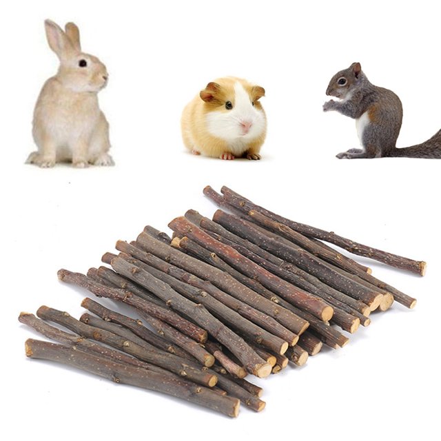 Ludlz Pet Snacks Apple Wood Sticks Chew Toy for Squirrel Rabbits Bunny
