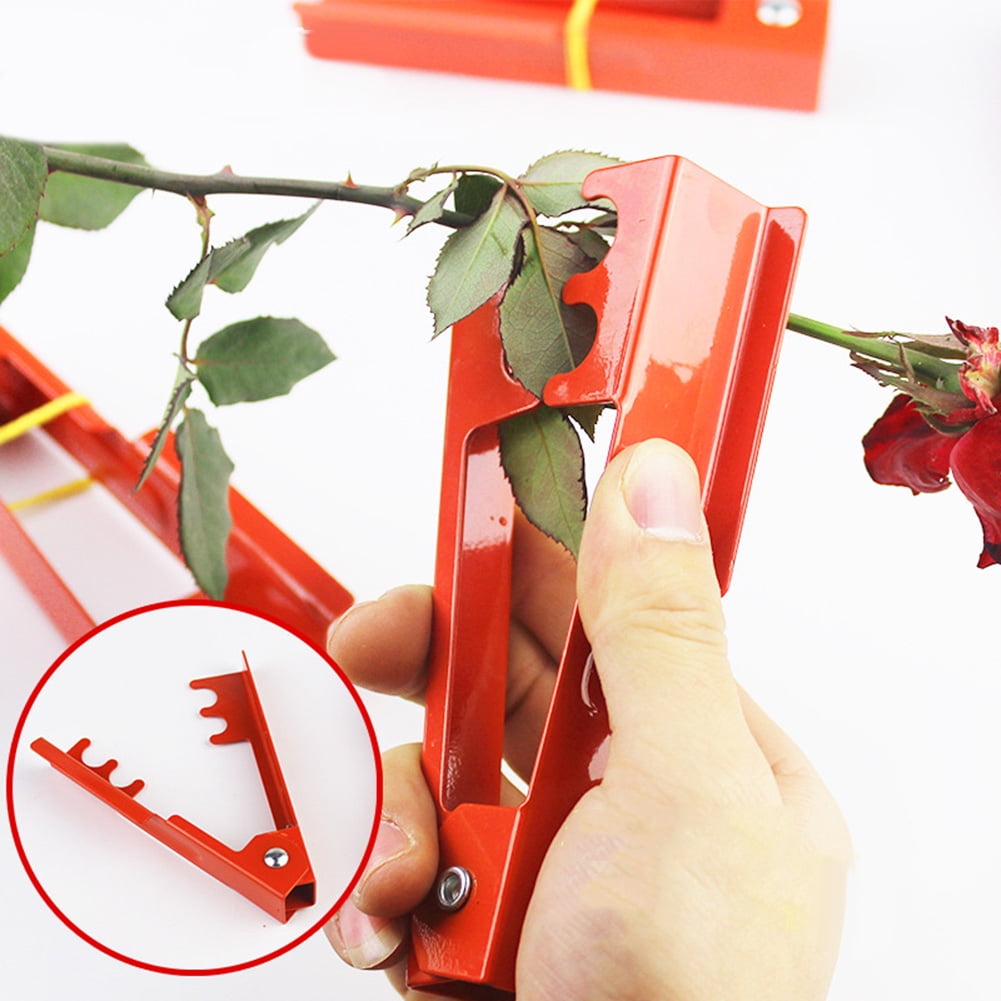 TIHOOD 3PCS Professional Rose Leaf Thorn Stripper Kit Stripping Tool Thorn  Remover for Roses & Garden Glove (2 kinds of rose leaf thorn strippers+1