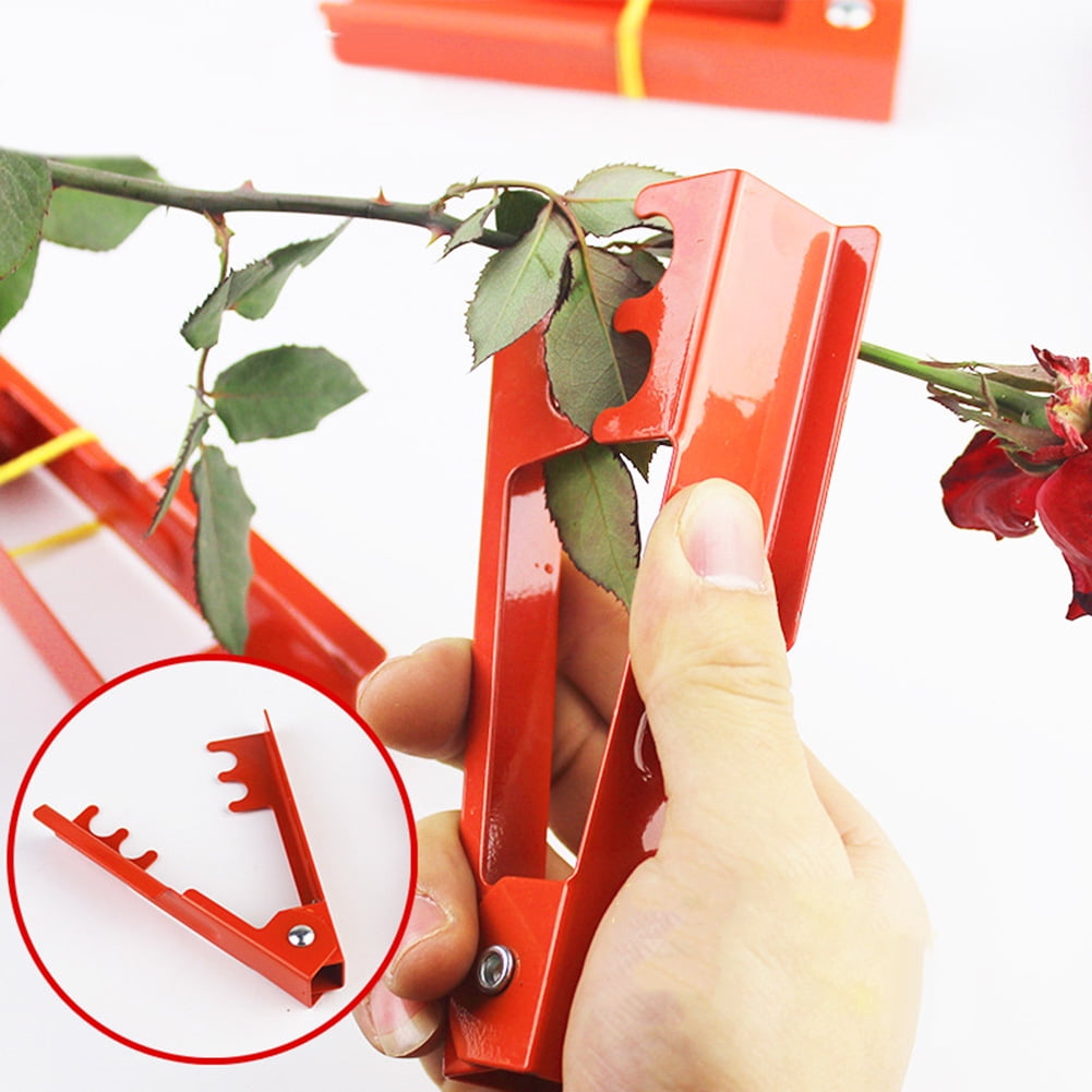 Metal Thorn Remover Kit Rose Leaf Stem Stripper Floristry Garden Stripping  Tool with Plastic Hand Tool for Roses & Garden 1 Red Clip & 1 Green Pad