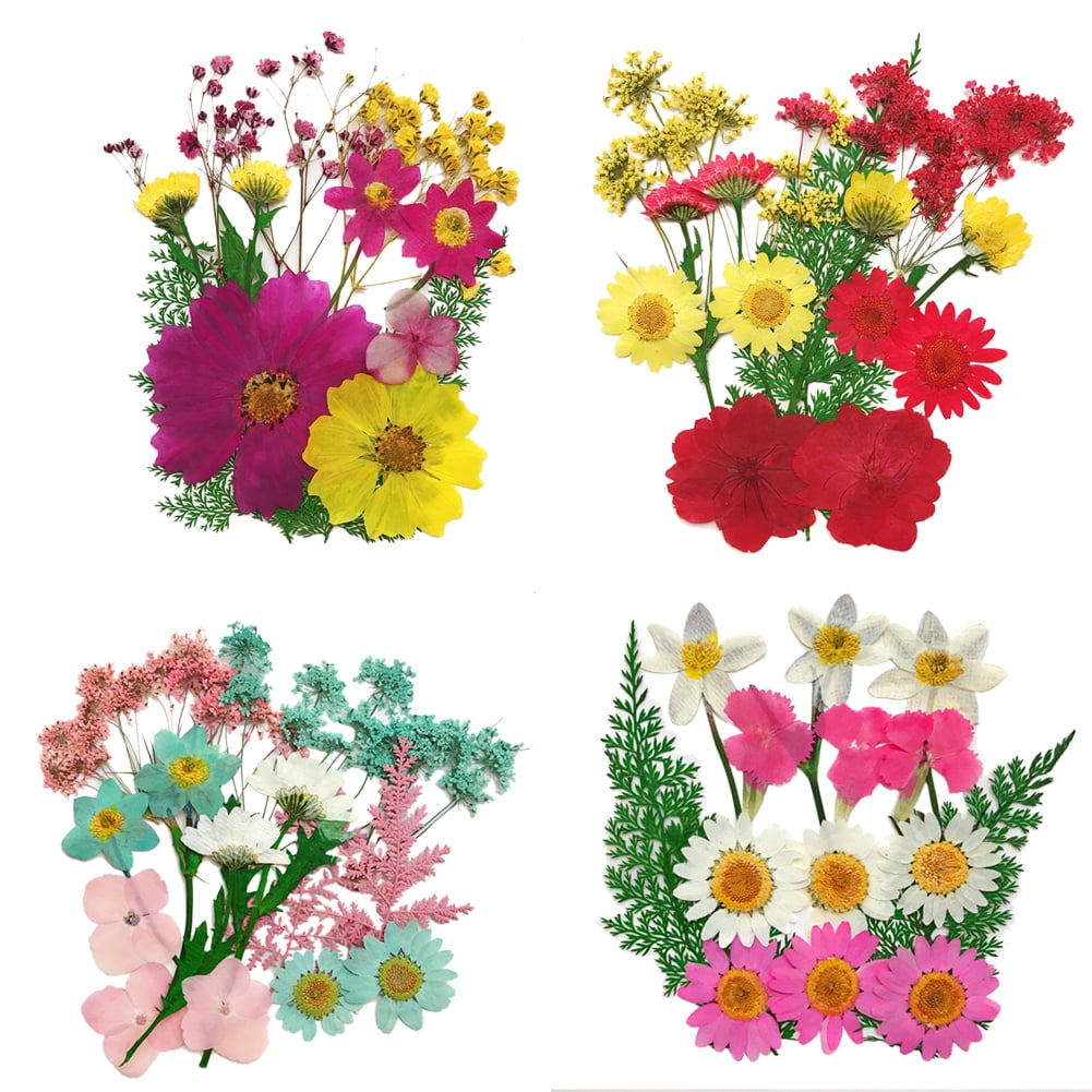 Pressed Flowers Crafts