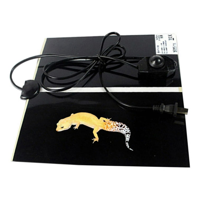 Tortoise heat pad cheap