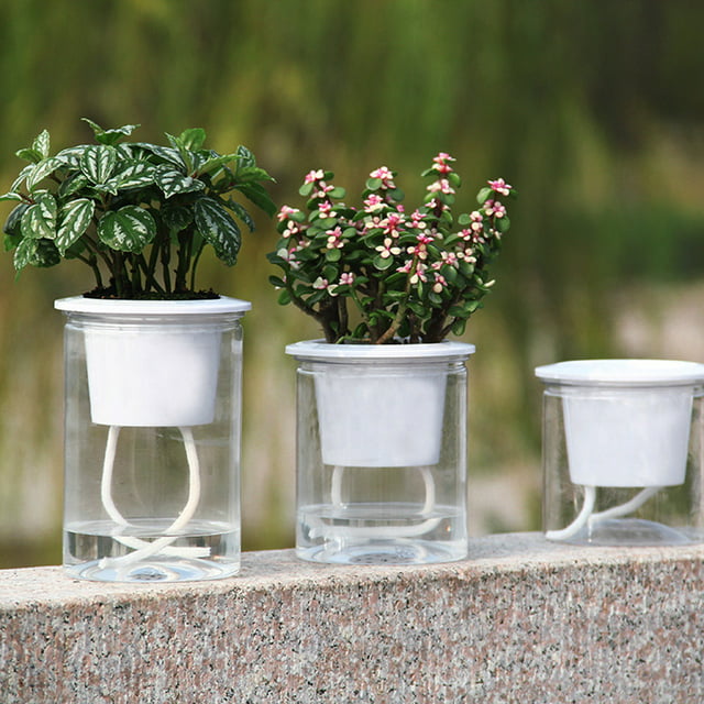 Ludlz Self Watering Planter, Clear Plastic Automatic-Watering Planter Self Watering Pots for Indoor Plants Flower Pot for All House Plants, Succulents,Self Watering Hydroponic Flower Pot Planter