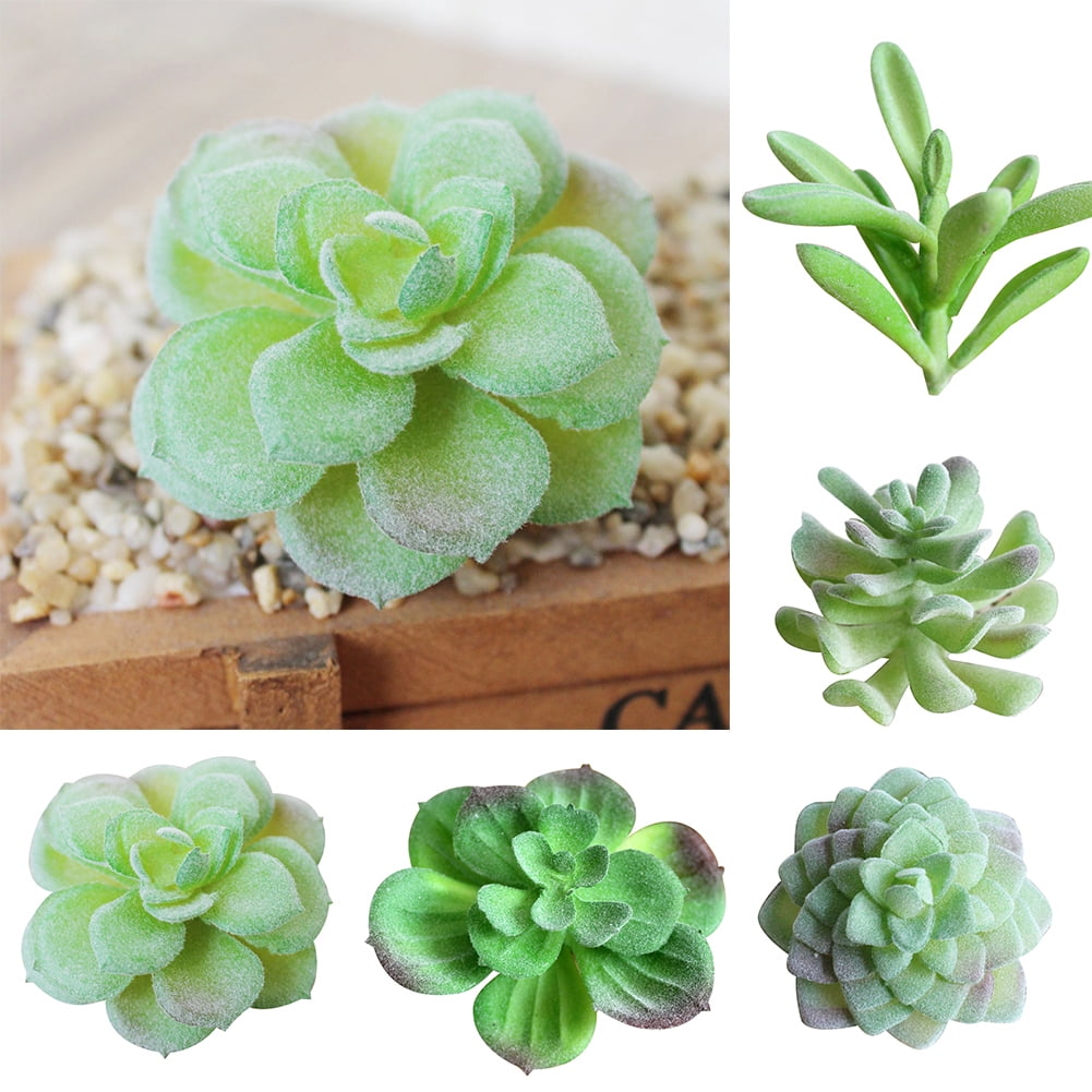 5-Inch Decoration Plant Mini Assorted Artificial Cactus Plants, Faux Cacti  Assortment in Square White Pots, Set of 4 or Can Mix by Yourself for Home  Decoration - China Artificial Flower and Decoration
