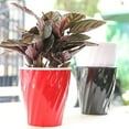 thumbnail image 1 of Ludlz Wavy Design Flower Plant Pot Automatic Absorbing Water Resin Tabletop Planter, 1 of 7