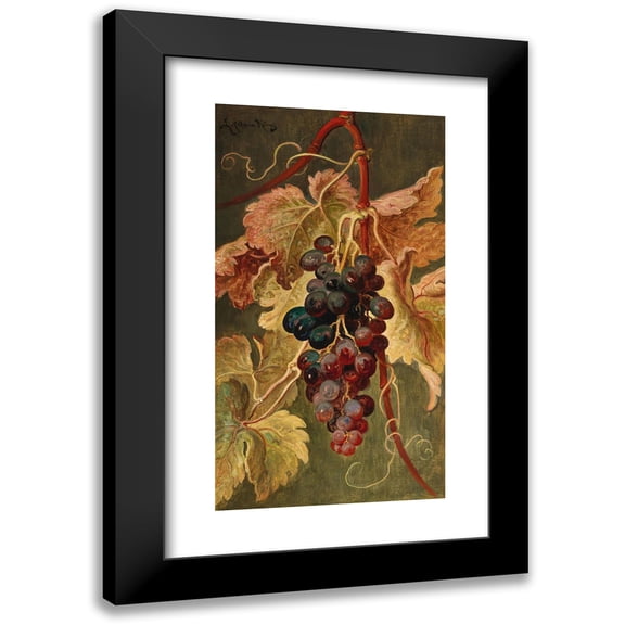 Ludwig Adam Kunz 15x24 Black Modern Framed Museum Art Print Titled - Grapes