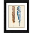 thumbnail image 1 of Ludwig, Alicia 11x14 Black Ornate Wood Framed with Double Matting Museum Art Print Titled - Plumage I, 1 of 4