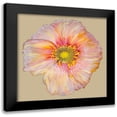 thumbnail image 1 of Ludwig, Alicia 12x12 Black Modern Framed Museum Art Print Titled - Poppy Blossom I, 1 of 5