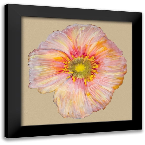 Ludwig, Alicia 12x12 Black Modern Framed Museum Art Print Titled - Poppy Blossom I