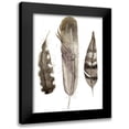 thumbnail image 1 of Ludwig, Alicia 12x14 Black Modern Framed Museum Art Print Titled - Custom Earthtone Feathers II (ASH), 1 of 5