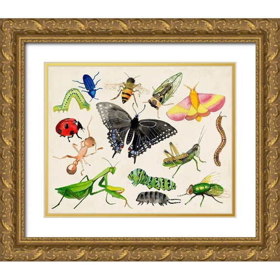 Ludwig, Alicia 14x12 Gold Ornate Wood Framed with Double Matting Museum Art Print Titled - Bugdom I
