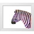 thumbnail image 1 of Ludwig, Alicia 18x15 White Modern Wood Framed Museum Art Print Titled - Sunset Safari II, 1 of 4