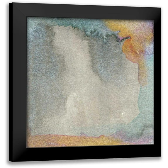 Ludwig, Alicia 20x20 Black Modern Framed Museum Art Print Titled - Frosted Glass II