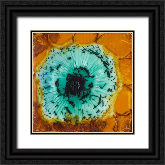 Ludwig, Alicia 20x20 Black Ornate Wood Framed with Double Matting Museum Art Print Titled - Oculus II