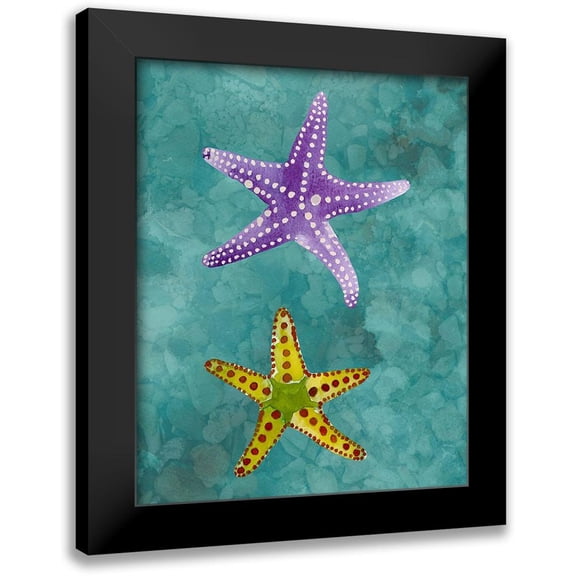 Ludwig, Alicia 20x24 Black Modern Framed Museum Art Print Titled - Twin Starfish II