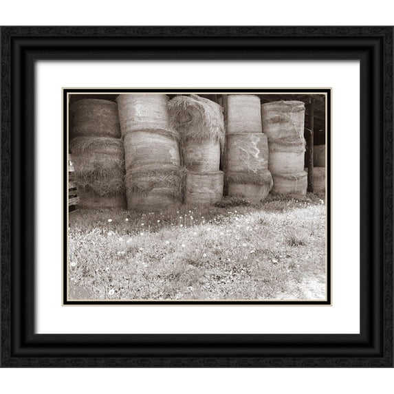 Ludwig, Alicia 24x20 Black Ornate Wood Framed with Double Matting Museum Art Print Titled - Sepia Farm Study V