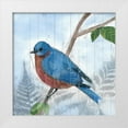 thumbnail image 1 of Ludwig, Alicia 26x26 White Modern Wood Framed Museum Art Print Titled - Eastern Songbird IV, 1 of 4