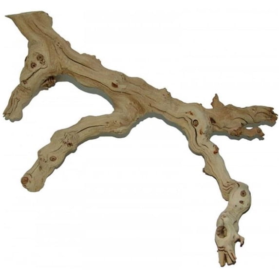 Lugarti Natural Sand Blasted Grapevine - GRPV-XS