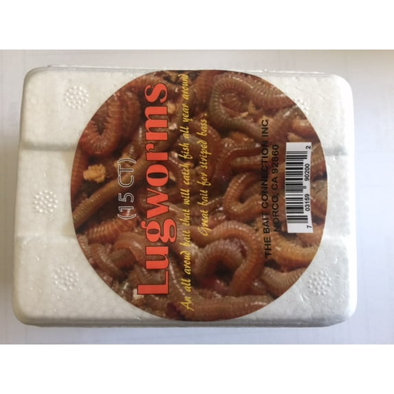 Lugworms Live Fish Bait, 15 Count