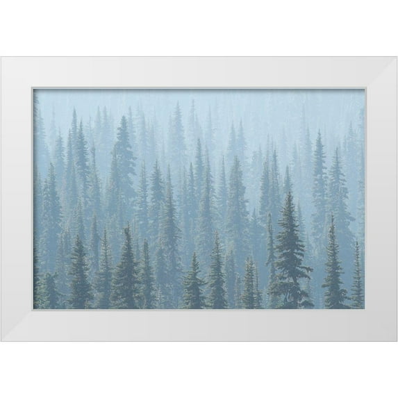 Luhm, Gary 14x11 White Modern Wood Framed Museum Art Print Titled - USA Mt Rainier National Park Smoke from Washington State fires drifts through conifers
