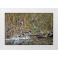 thumbnail image 1 of Luhm, Gary 32x23 White Modern Wood Framed Museum Art Print Titled - Washington State Wood Ducks (Aix sponsa) flock takes flight from a quiet pond Seattle, 1 of 4