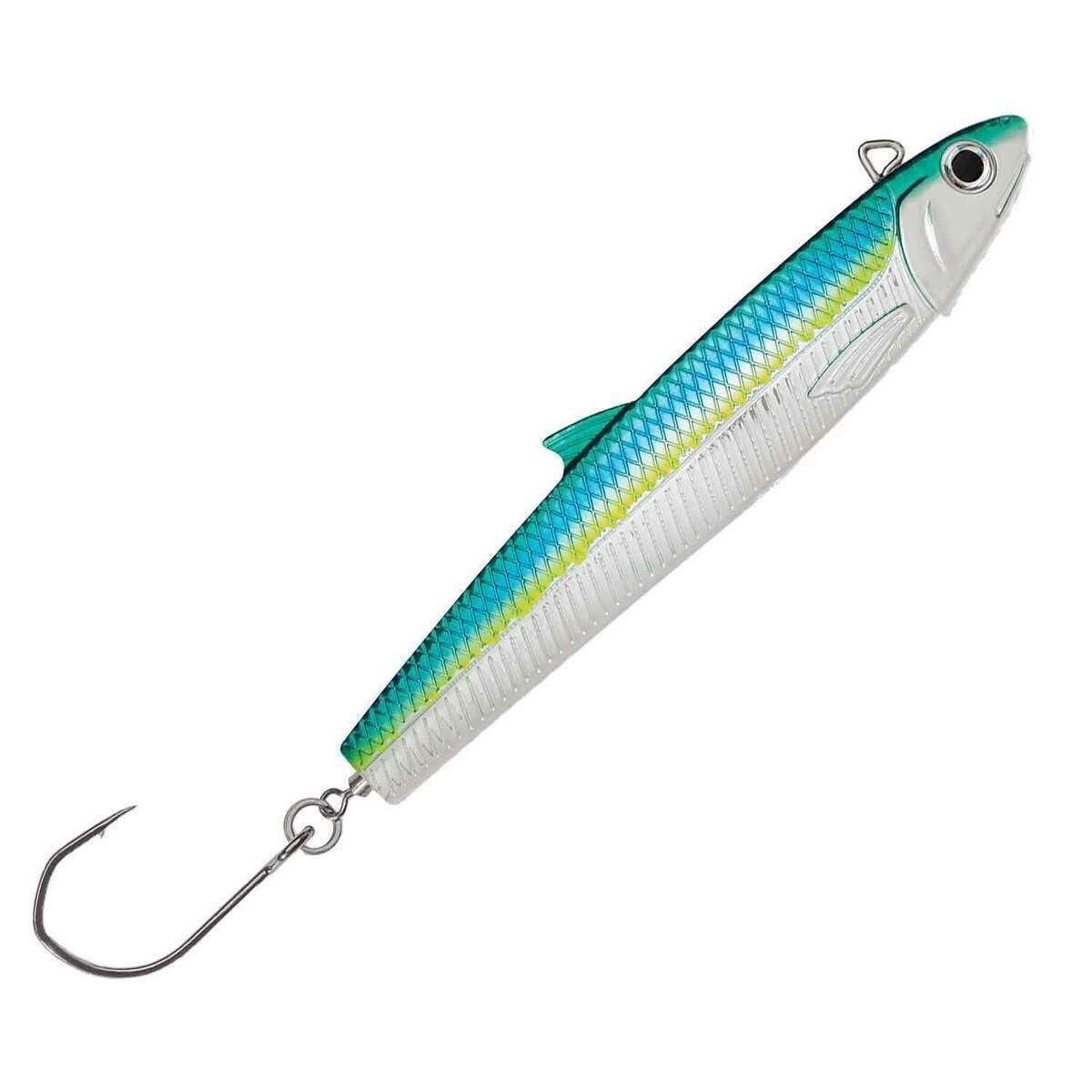 Anchovy Bait for Fishing Sports Outdoors