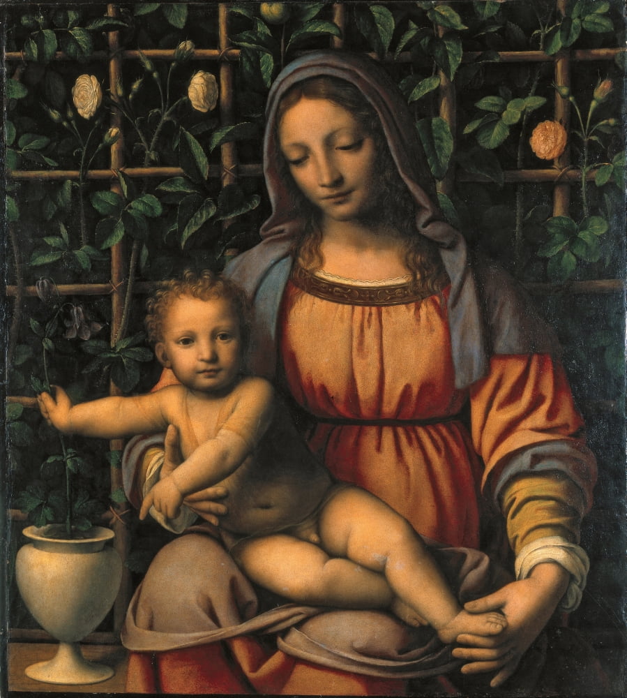 Luini Bernardino Canvas Art - (24 x 36)