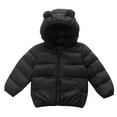 thumbnail image 1 of Lujianch Boys Winter Coats Toddler Outerwear Snow Jackets Boys Warm Clothes Size 2-3 Years, 1 of 3