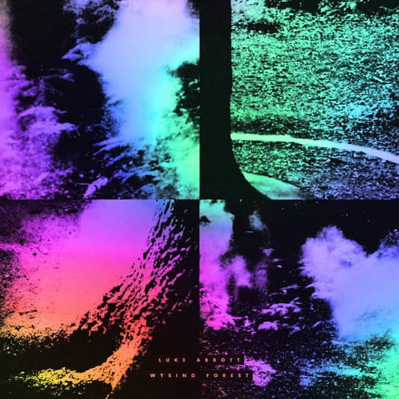 Luke Abbott - Wysing Forest - Electronica - CD
