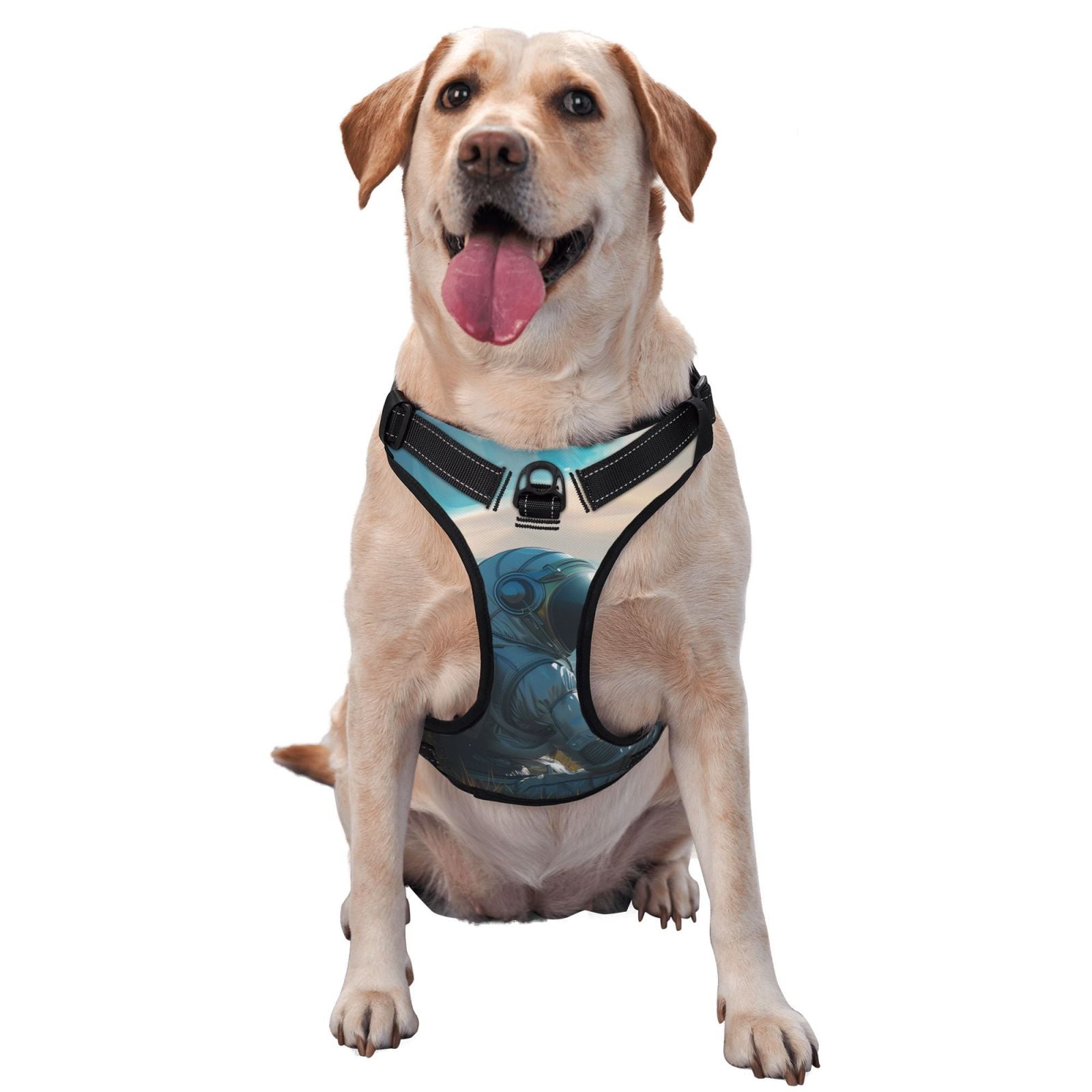 Doggy planet harness hotsell