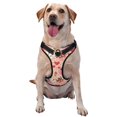 Lukts Cow Flower And Heart Dog Harness,No Pull Pet Harness with 3