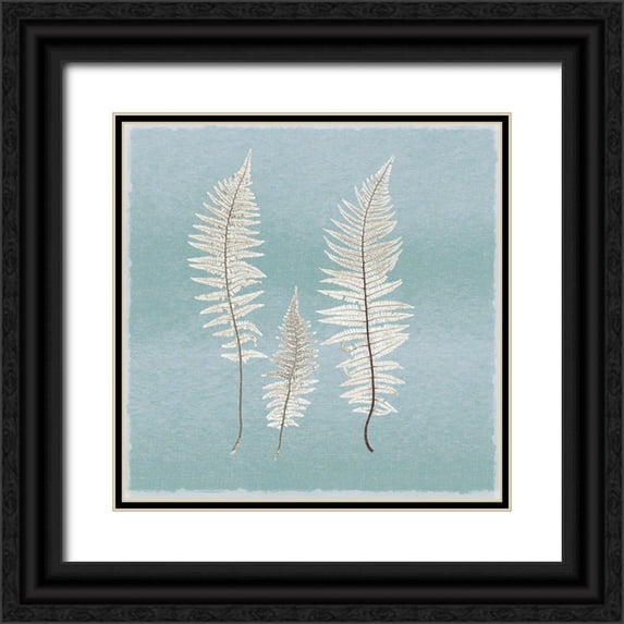 Lula Bijoux And Company 20x20 Black Ornate Wood Framed with Double Matting Museum Art Print Titled - Spring Eden Fern