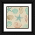 thumbnail image 1 of Lula Bijoux and Company 26x26 Black Ornate Wood Framed with Double Matting Museum Art Print Titled - New Beachcomber Shells 1, 1 of 4