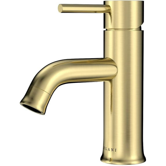 Lulani Aruba Stainless Steel 1-Handle Single Hole Bathroom Faucet with Drain Assembly - Champagne Gold