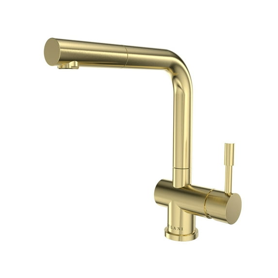 Lulani Nassau Stainless Steel 1-Handle Pull-Out Kitchen Faucet (No Spray Feature) - Champagne Gold…