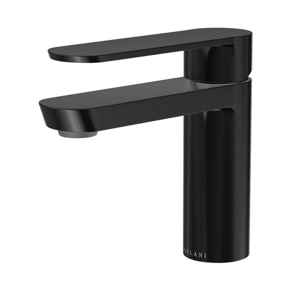 Lulani Yasawa Stainless Steel 1-Handle Single Hole Bathroom Faucet with Drain Assembly - Steel Black