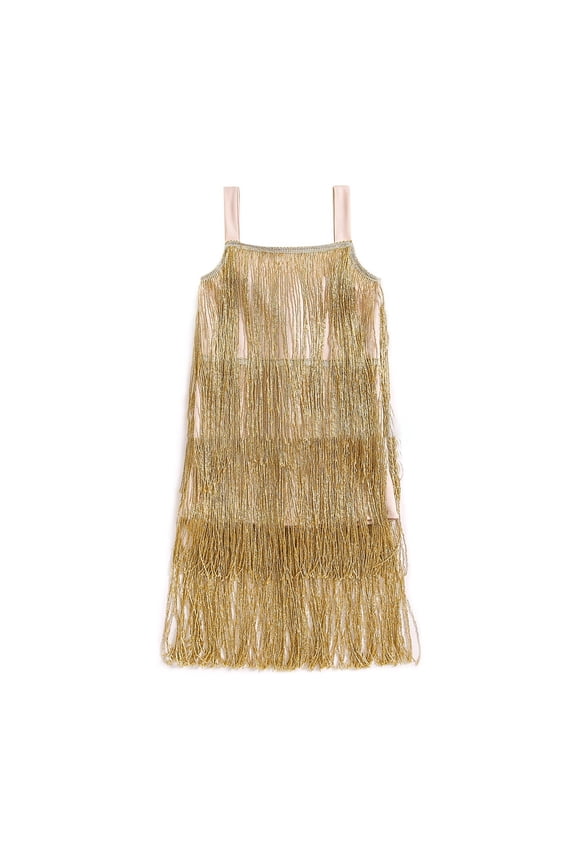 Girl Sparkly Fringe Latin Dress Shiny Tassel Tango Dance Flapper Dress, Sizes 18M-6Y