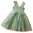 thumbnail image 1 of Lullu Girls Flower Embroidery Tutu Dress Butterfly Wings Tulle Princess Dress, Sizes 6M-5T, 1 of 8