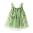 thumbnail image 1 of Lullu Girls Flower Embroidery Tutu Dress Sleeveless Tulle Princess Dress, Sizes 12M-6Y, 1 of 4