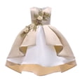 thumbnail image 1 of Lullu Girls Formal Dress Sleeveless Flower Birthday Party Dress Pageant Gown, Sizes 2-8, 1 of 7
