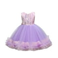 thumbnail image 1 of Lullu Girls Sequins Glitter Sleeveless Tutu Dress Birthday Party Pageant Dress, Sizes 2-10, 1 of 8