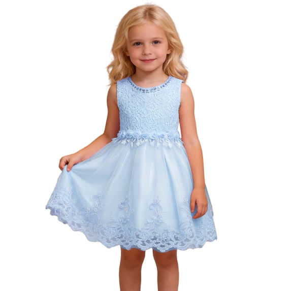 Lullu Girls Sleeveless Lace Tutu Dress Mesh Birthday Party Dress Pageant Gown, Sizes 2-8