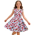 thumbnail image 1 of Lullu Girls Strawberry Print Tank Dress Casual Sleeveless Crewneck Sundress, Sizes 3-12, 1 of 4