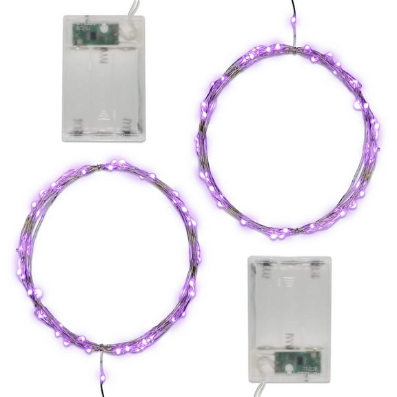 Battery-Operated LED Fairy String Lights with Timer - Set of 2