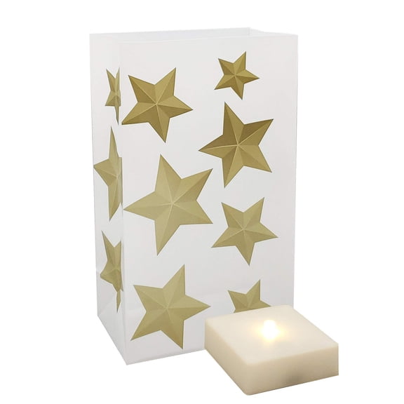 LumaBase Battery Operated Luminaria Kit with Timer - Set of 6 (Gold Star)