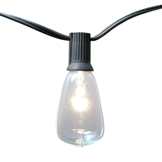LumaBase Electric String Lights with 10 Edison Bulbs