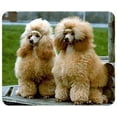 thumbnail image 1 of Lumalack Apricot Poodle Mousepad, 1 of 1