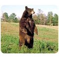 thumbnail image 1 of Lumalack Brown Bear Mousepad, 1 of 1